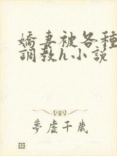 娇妻被各种刑具调教h小说