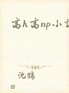 高h高np小说