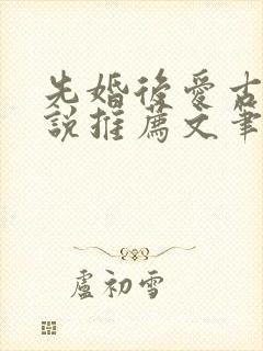 先婚后爱古言小说推荐文笔好高质量封面