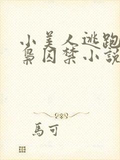 小美人逃跑被毒枭囚禁小说封面