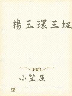 杨玉环三级黄色封面