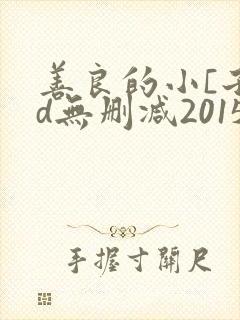 善良的小[子hd无删减2015