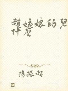 赵姨娘的儿子叫什么