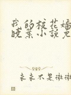 我的校花娇妻秦晓叶小说免费阅读