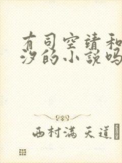 有司空靖和苏月汐的小说吗