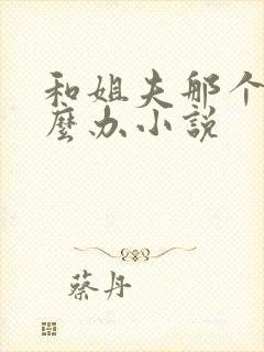 和姐夫那个了怎么办小说