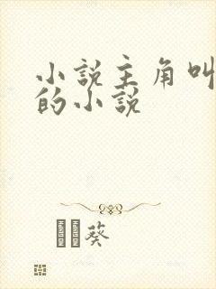 小说主角叫林正的小说封面