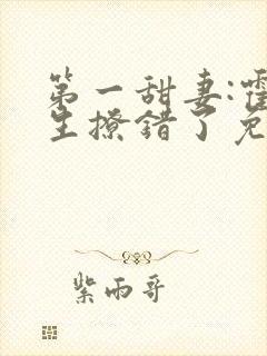 第一甜妻:霍先生撩错了免费阅读全封面