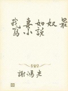 我妻如奴最新续写小说