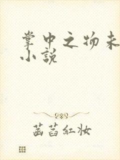 掌中之物未删减小说封面