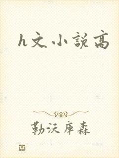 h文小说高封面