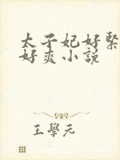 太子妃好紧皇上好爽小说