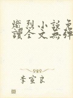 炽烈小说免费阅读全文无弹窗