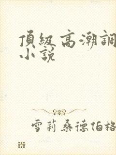 顶级高潮调教h小说封面