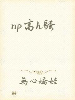 np高h骚