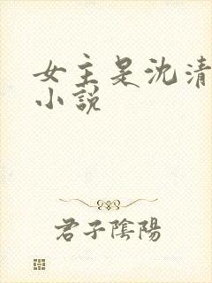 女主是沈清月的小说封面