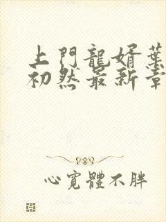 上门龙婿叶辰萧初然最新章节免费阅读