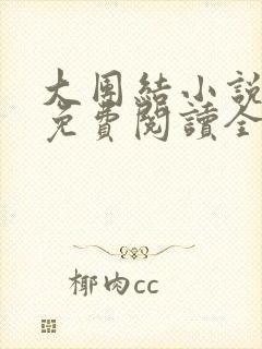 大团结小说全文免费阅读全文无弹幕