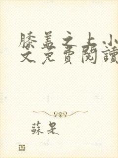 膝盖之上小说全文免费阅读