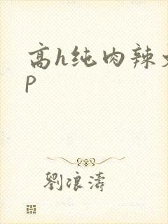 高h纯肉辣文np