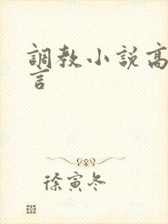 调教小说高h古言