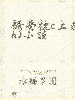 骚受被c上瘾(h)小说封面