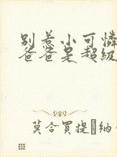 别惹小可怜,她爸爸是超级女儿奴小说