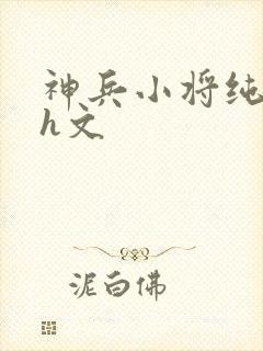 神兵小将纯肉高h文