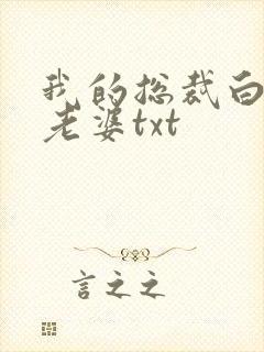 我的总裁白富美老婆txt封面