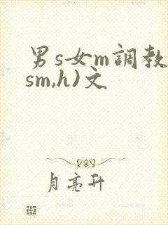 男s女m调教(sm,h)文
