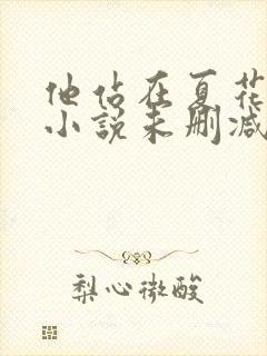 他站在夏花绚烂小说未删减版