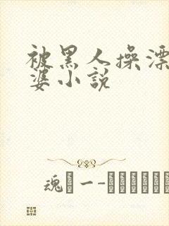 被黑人操漂亮老婆小说封面