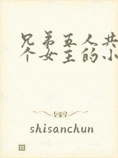 兄弟五人共享一个女主的小说