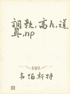 调教,高h,道具,np