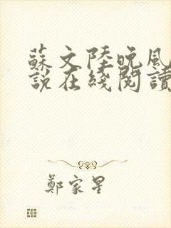 苏文陆晚风的小说在线阅读