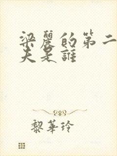 梁丽的第二任丈夫是谁