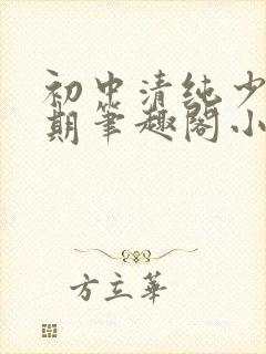 初中清纯少女暑期笔趣阁小说封面