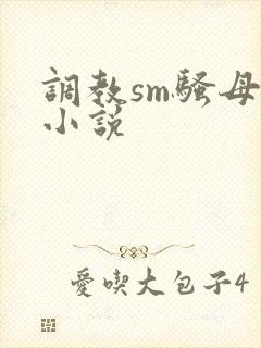 调教sm骚母狗小说封面