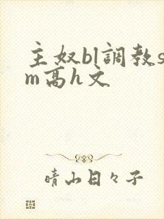 主奴bl调教sm高h文封面