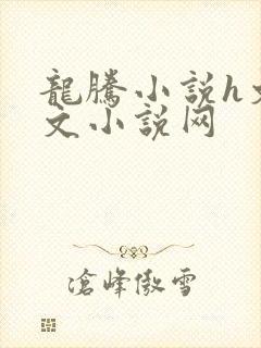 龙腾小说h文辣文小说网封面