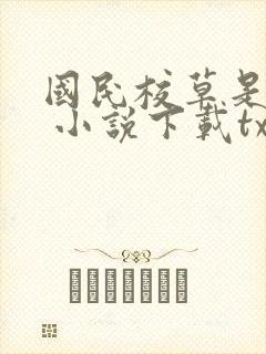 国民校草是女生 小说下载txt封面