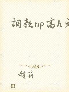 调教np高h文