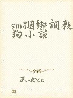sm捆绑调教母狗小说