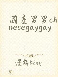 国产男男chinesegaygay