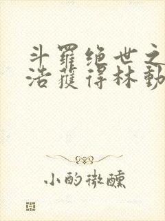 斗罗绝世之霍雨浩获得林动传承笔趣阁