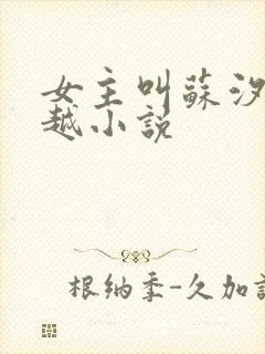 女主叫苏汐的穿越小说