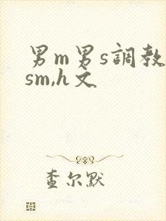 男m男s调教(sm,h文