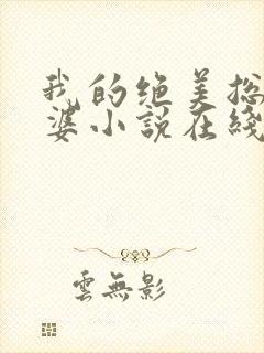 我的绝美总裁老婆小说在线阅读