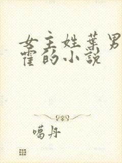 女主姓叶男主姓霍的小说