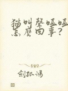 猫叫声哑哑的是怎么回事?